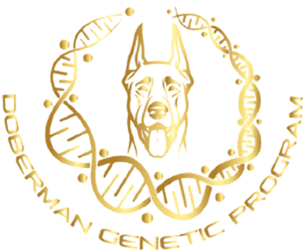 6969288bc50e2_IMG_8022-removebg-preview 1