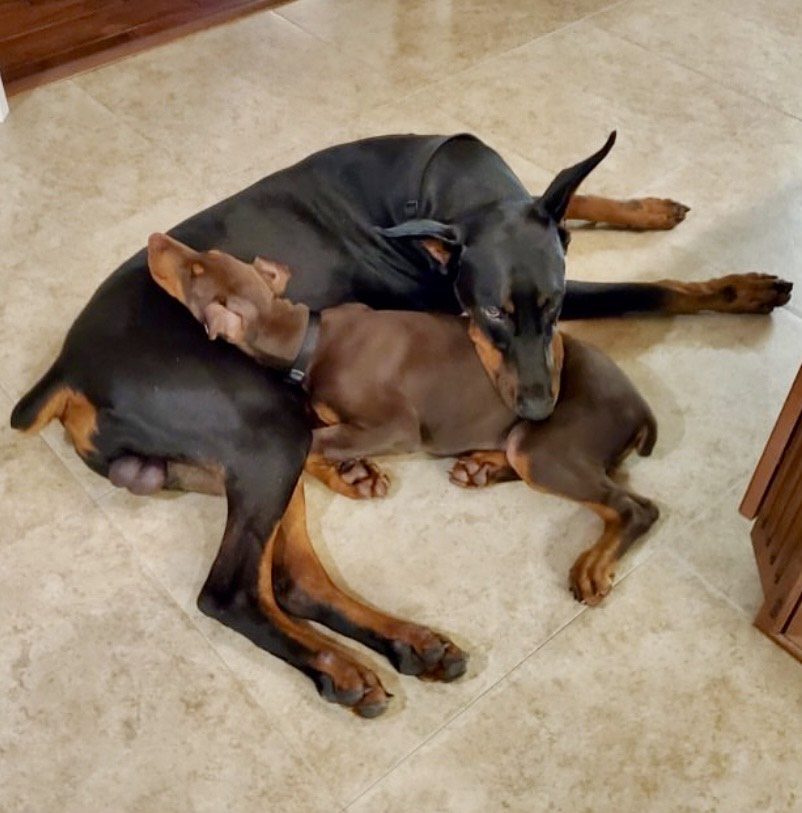 IMG_7717 (09edfa25-5745-461d-a505-fb6f9d3ce124)