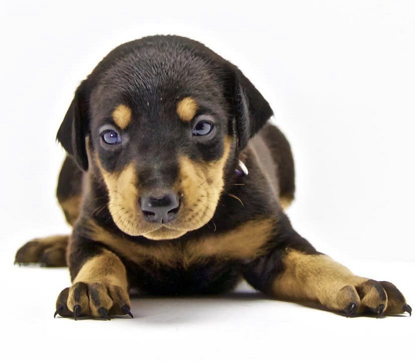 IMG_7708 (73c52459-1ff4-448b-bb70-83281793161d)